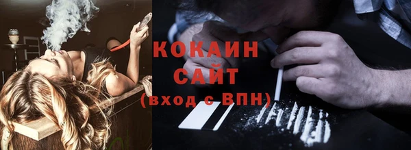 альфа пвп Новодвинск