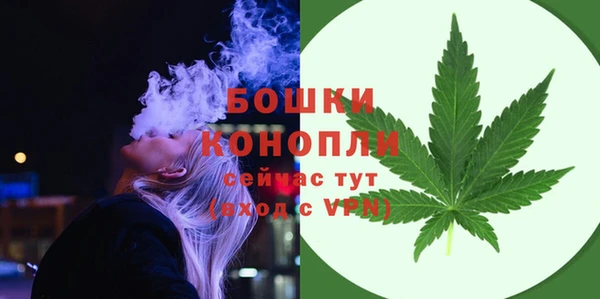 альфа пвп Новодвинск