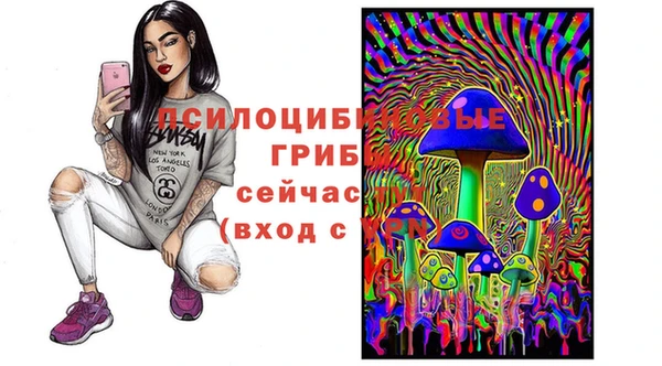 каннабис Новокубанск