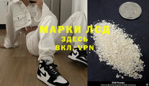 альфа пвп Новодвинск