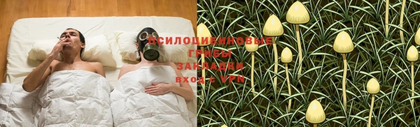 альфа пвп Новодвинск