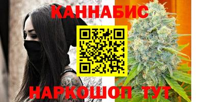 индика Абакан