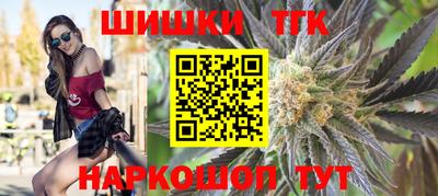 индика Абакан