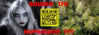 индика Абакан