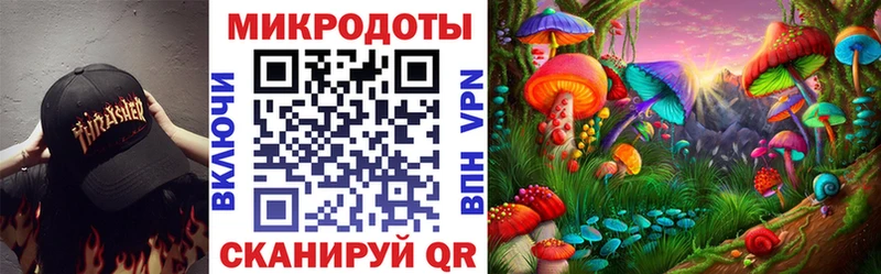 Псилоцибиновые грибы Psilocybine cubensis  Салават 