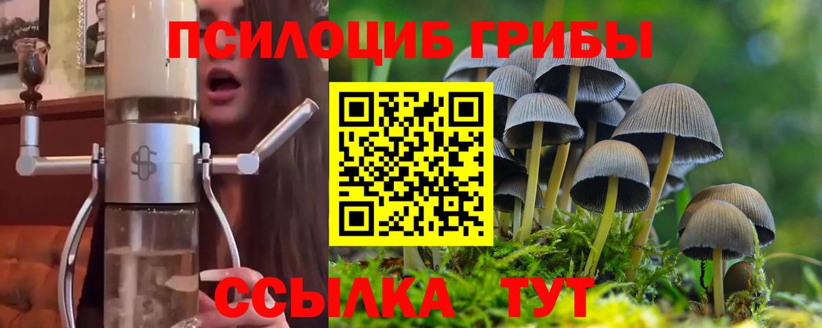 Псилоцибиновые грибы мицелий Салават