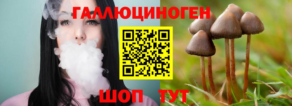 Галлюциногенные грибы Psilocybe  Вход с VPN  Салават 